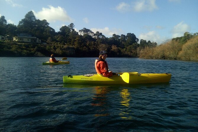 2-Hour Waikato River Guided Kayak Trip from Taupo - Complimentary photos: a great bonus, with one important caveat