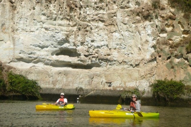 2-Hour Waikato River Guided Kayak Trip from Taupo - Price check: what $55.85 buys you in Taupō