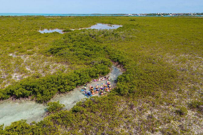 2 Hours Clear Kayaking Activity on Mangrove Cay - Quick hits on this Mangrove Cay clear-kayak tour