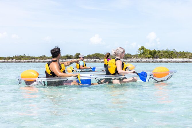 2 Hours Clear Kayaking Activity on Mangrove Cay - Mangrove Cay kayaking for clear water and close wildlife