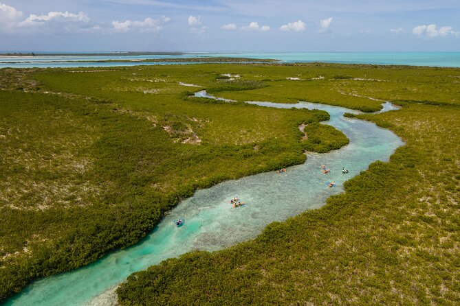 2 Hours Clear Kayaking Activity on Mangrove Cay - Your 2-hour paddle: what the itinerary feels like on the water