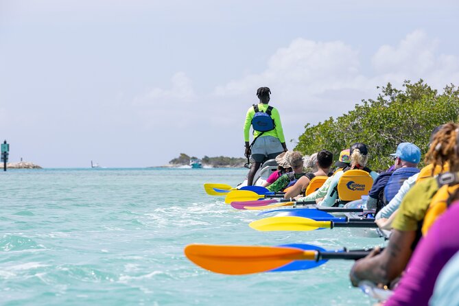 2 Hours Clear Kayaking Activity on Mangrove Cay - Turtles, lemon sharks, and how the guide helps you actually see them