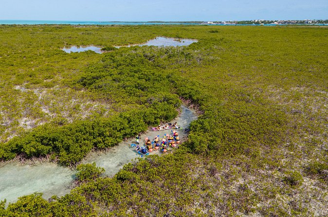 2 Hours Clear Kayaking Activity on Mangrove Cay - Price and value: what $125 buys you (and what it doesn’t)