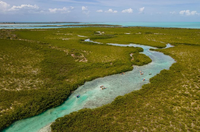 2 Hours Clear Kayaking Activity on Mangrove Cay - Weather rules and cancellation: planning without stress