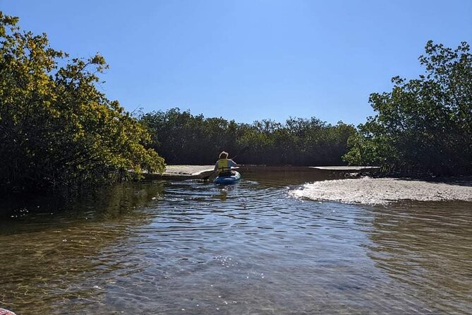 2 Hours Kayak Eco Tour in Tarpon Springs - Key points worth knowing before you go