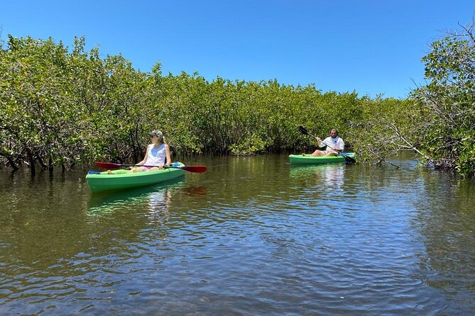 2 Hours Kayak Eco Tour in Tarpon Springs - A Quiet Kayak Through Tarpon Springs Mangroves