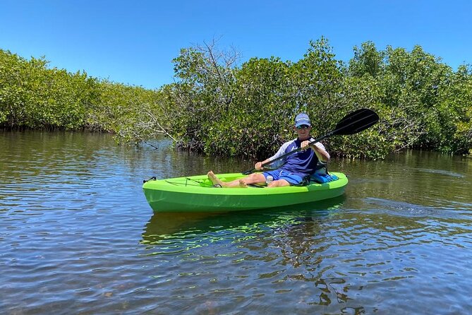 2 Hours Kayak Eco Tour in Tarpon Springs - The 2-Hour Route: Mangroves, Wildlife Chances, and Sponge Docks