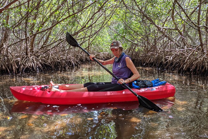 2 Hours Kayak Eco Tour in Tarpon Springs - Practical Tips: Footwear, Dry Bags, and How to Hear the Guide
