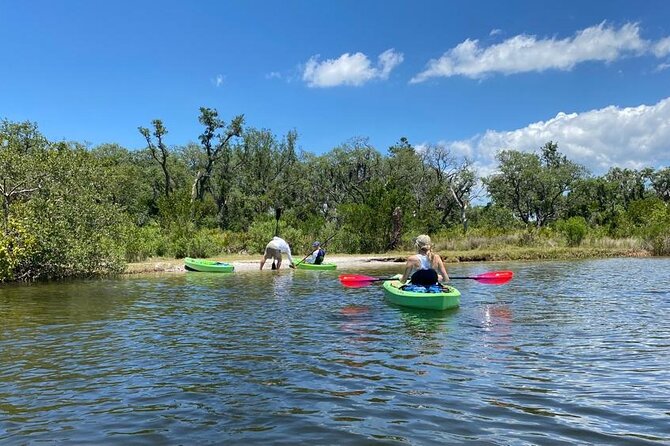 2 Hours Kayak Eco Tour in Tarpon Springs - What You Paddle: Gear, Pace, and Who It Fits