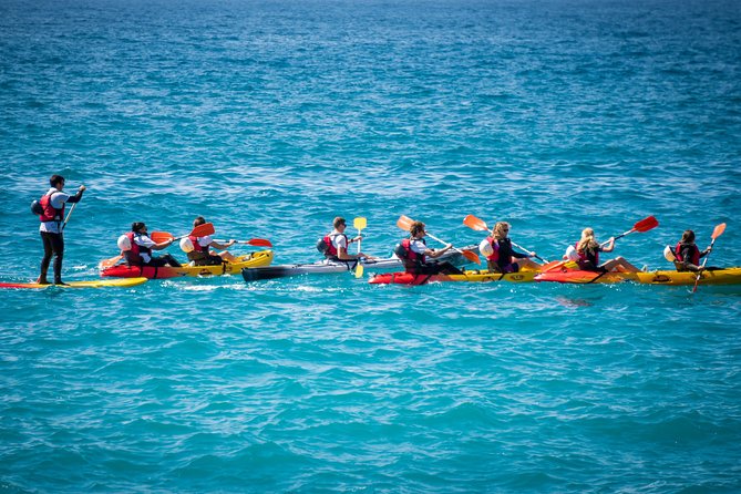 2 Hours Kayak Tour in Cerro Gordo Natural Park, La Herradura - The 2-hour plan: what the rhythm feels like on the water