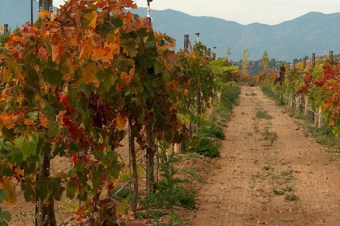 2 Hours Water to Wine Kayak Trip from Cottonwood - Why This Water-to-Wine Kayak Combo Feels Like a Real Day Out