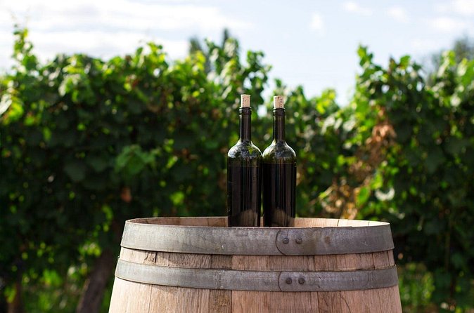 2 Hours Water to Wine Kayak Trip from Cottonwood - Wine-Ready Rules: 21+ Only (and You’ll Want Your Photo ID)