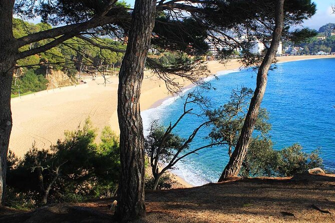 2h Guided Kayak Tour on the Costa Brava - Rough-sea reality on rocky stretches