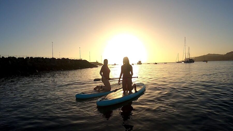 2h Sunset Paddle Board Session in Gran Canaria - Wildlife and coastal views: when nature joins the lesson