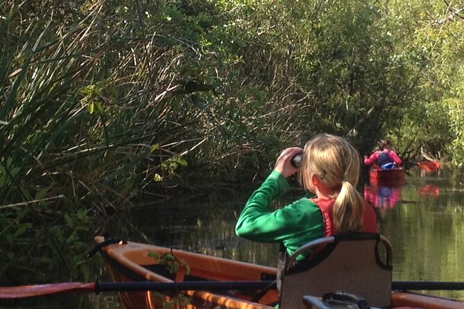 2Hour Everglades Kayak Safari Adventure Through Mangrove Tunnels - Key highlights you’ll feel quickly
