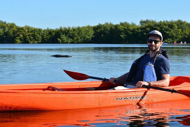 2Hour Everglades Kayak Safari Adventure Through Mangrove Tunnels - Sliding Into the Everglades: mangrove tunnels and freshwater wildlife