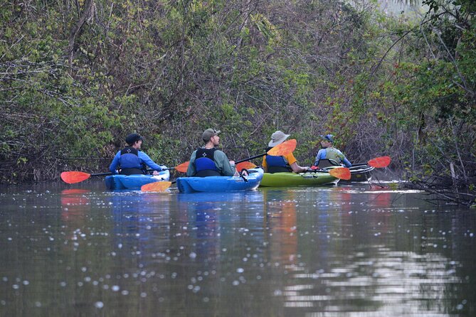 2Hour Everglades Kayak Safari Adventure Through Mangrove Tunnels - Kayak, seats, and lifejackets: why the gear really matters
