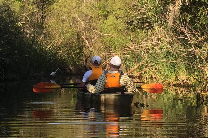2Hour Everglades Kayak Safari Adventure Through Mangrove Tunnels - Wildlife you can actually see up close (alligators, birds, and more)