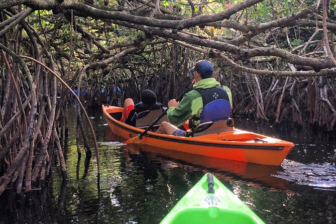 2Hour Everglades Kayak Safari Adventure Through Mangrove Tunnels - Small-group kayaking in Everglades National Park: comfort for 2 hours