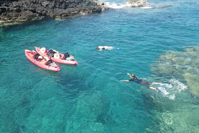 3.5 Hour Kailua-Kona Ocean Kayak and Snorkel Tour - Quick hits before you go