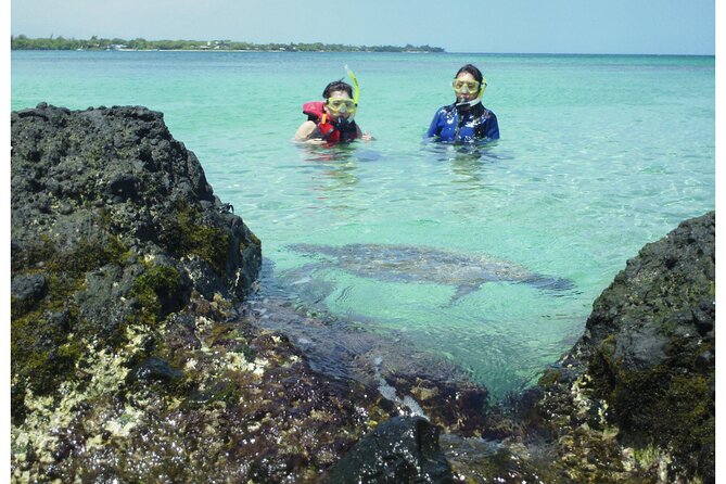 3.5 Hour Kailua-Kona Ocean Kayak and Snorkel Tour - Meeting at 78 Ehukai St: the early start that actually pays off