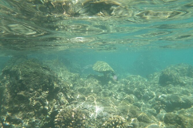 3.5 Hour Kailua-Kona Ocean Kayak and Snorkel Tour - Gear, pacing, and comfort: stable kayaks with real ocean energy