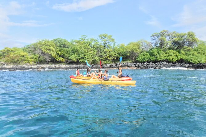 3.5 Hour Kailua-Kona Ocean Kayak and Snorkel Tour - Price and value: why $99 can be a good deal here