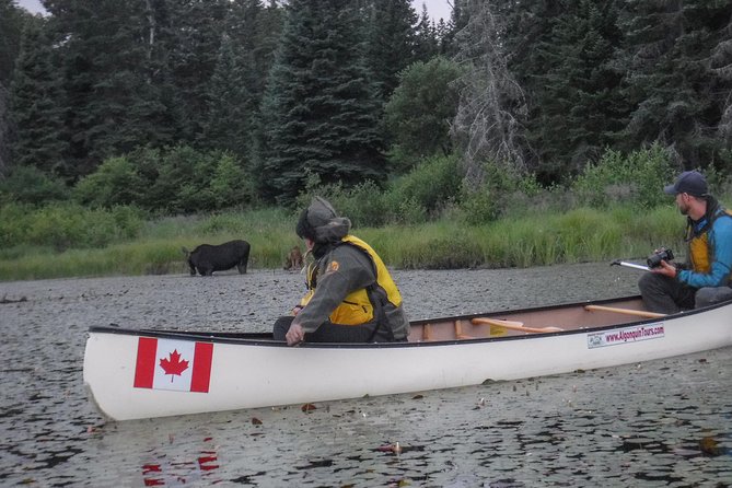 3 Day Algonquin Park Canoe Trip - Moose & Beaver Safari - Key highlights I’d circle on your planning sheet