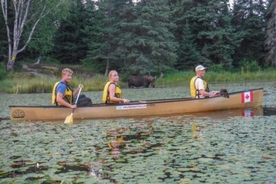 3 Day Algonquin Park Canoe Trip - Moose & Beaver Safari - Small-group setup: learning faster and sharing the load