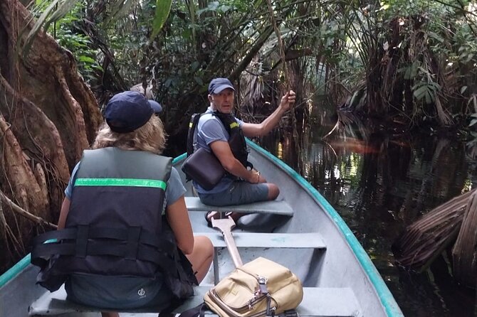3-hour canoe tour through Tortuguero National Park - Wildlife Encounters You Can Actually Expect From the Water