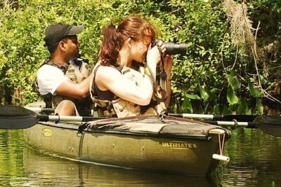 3 Hour Guided Mangrove Tunnel Kayak Eco Tour - Getting to Everglades City: the launch point matters