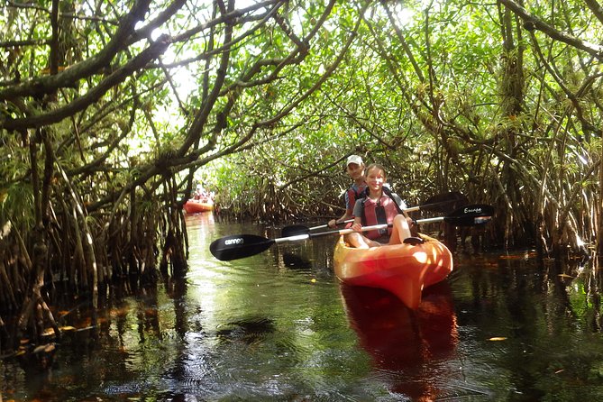 3 Hour Guided Mangrove Tunnel Kayak Eco Tour - How the guide experience shapes the whole trip