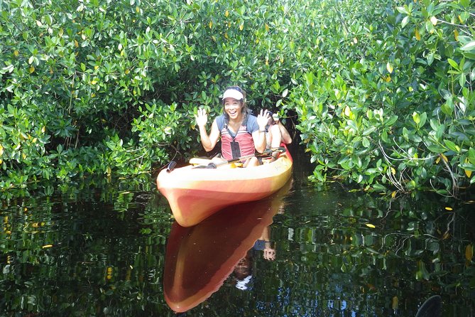 3 Hour Guided Mangrove Tunnel Kayak Eco Tour - Timing on the water: what 3 hours feels like