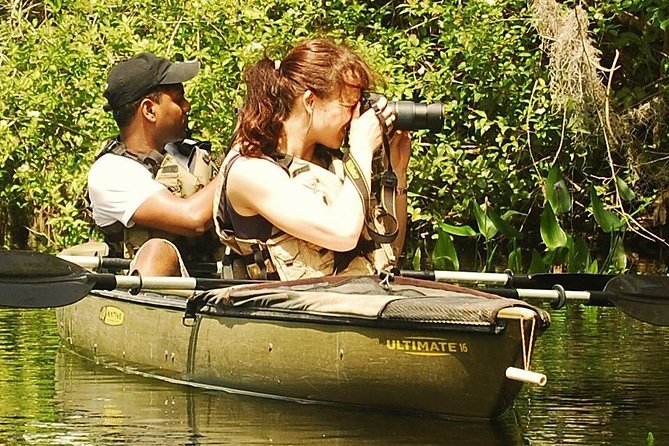 3 Hour Guided Mangrove Tunnel Kayak Eco Tour - Getting to Everglades City: the launch point matters
