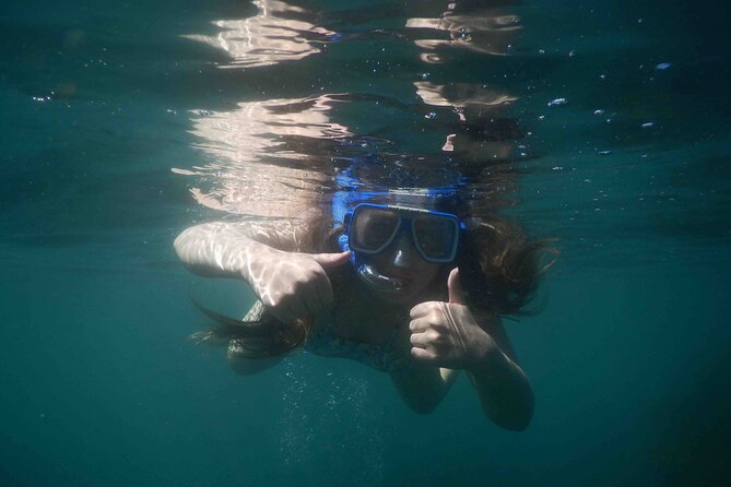 3-Hour Kayak and Snorkeling Experience in Batemans Bay - Price and value: what $114.04 buys you in real terms