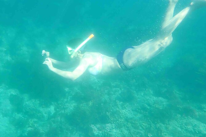 3-Hour Kayak and Snorkeling Experience in Batemans Bay - Who should book, and who might want to skip this one