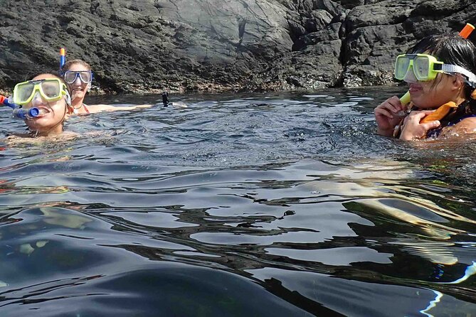 3-Hour Kayak and Snorkeling Experience in Batemans Bay - The “should I book?” decision for Batemans Bay kayak snorkelling