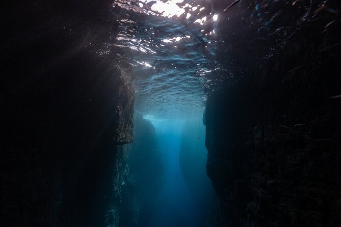 3 Hour Kayak Guided Tour in Islet of Vila Franca Do Campo - Paddling the Shore and Hunting Caves (when conditions allow)