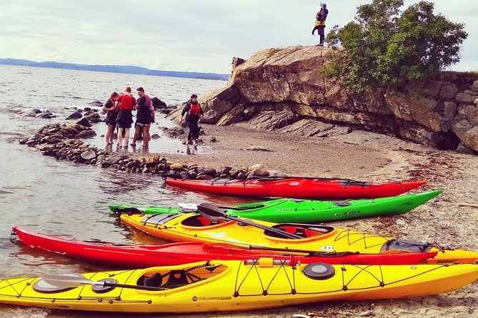 3- Hour Kayak Tour on the Oslofjord - From Houseboats to Fornebu: What You’ll Notice Along the Coast