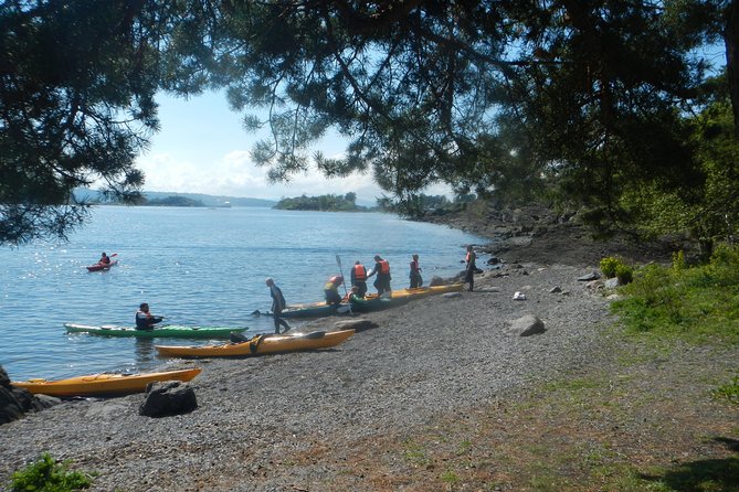 3- Hour Kayak Tour on the Oslofjord - How Hard Is It? Wind, Effort, and Pacing for Different Fitness Levels