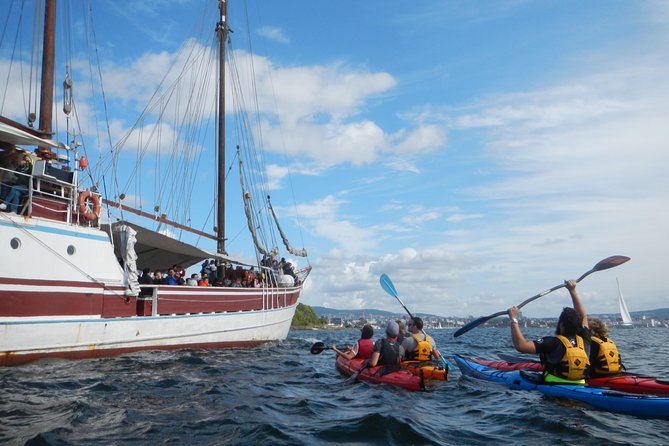3- Hour Kayak Tour on the Oslofjord - Price, What’s Included, and What to Bring for a Dryer Trip