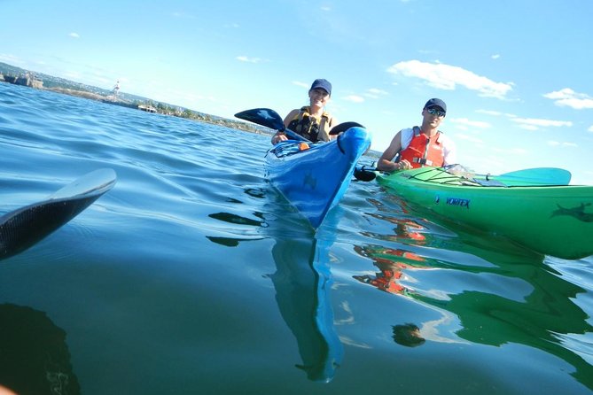 3- Hour Kayak Tour on the Oslofjord - Should You Book This Oslofjord Kayak Tour?