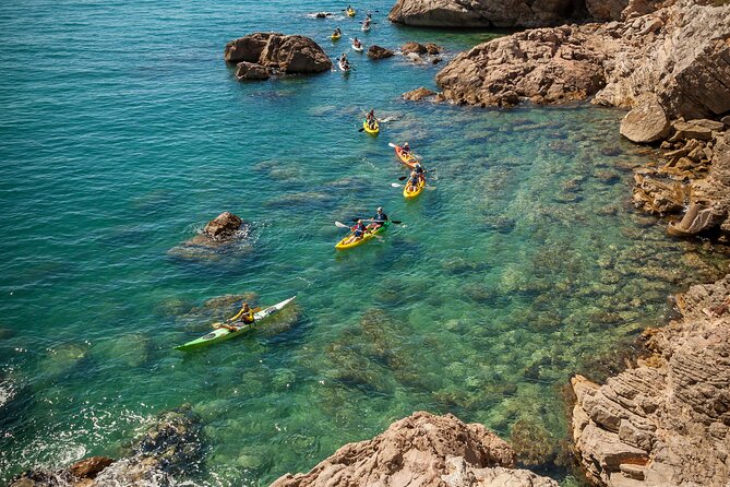 3 Hour of Sea Kayak Trip in the Creeks of Sete - Key things I’d zero in on