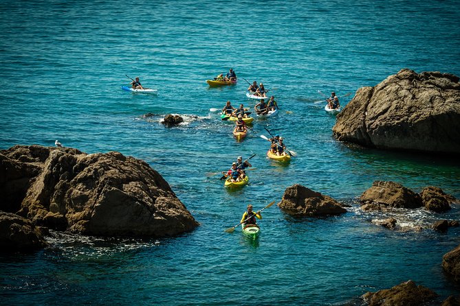 3 Hour of Sea Kayak Trip in the Creeks of Sete - Seating and Kayak Choice: Singles, Doubles, and Family Fit