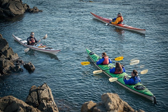 3-Hour Sea Kayak Tour in the San Juan Islands - Key Points You’ll Care About