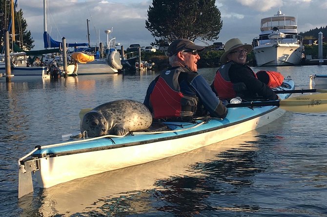 3-Hour Sea Kayak Tour in the San Juan Islands - Price and What You Actually Get for $132.71