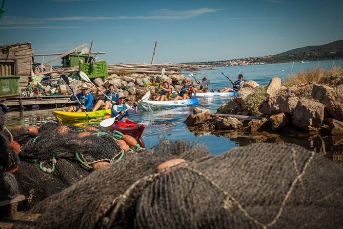 3 Hour Sea Kayak Trip in the Canals of Sete - The 3-Hour Rhythm: Easy Paddling, Real Stops, No Fluff