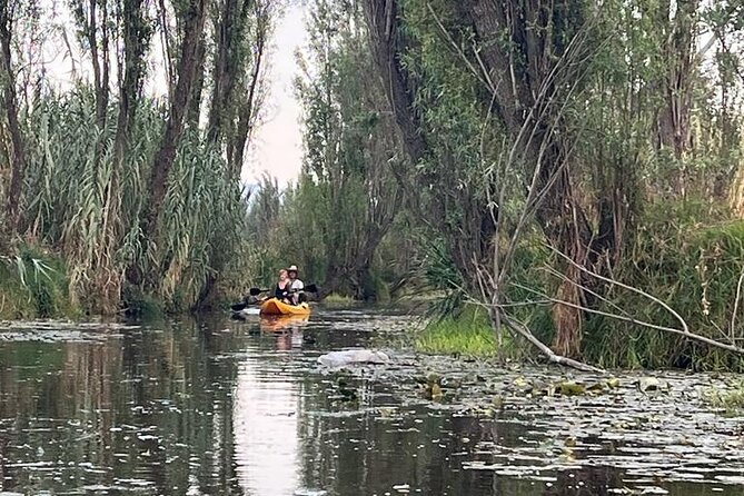 3 Hours of Kayaking at the Ancient Canals of Xochimilco - Key things you’ll notice right away