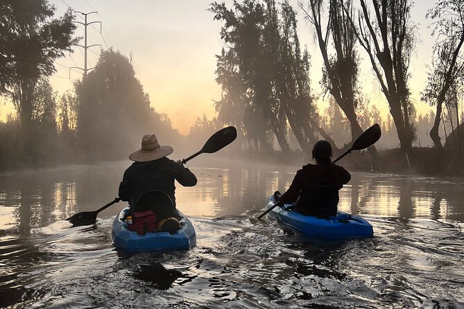 3 Hours of Kayaking at the Ancient Canals of Xochimilco - Working chinampas: the farming system you paddle past