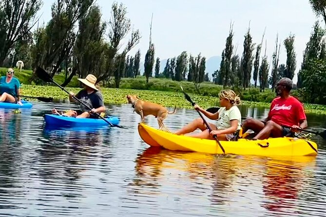 3 Hours of Kayaking at the Ancient Canals of Xochimilco - Grant’s guide style: calm, story-driven, and tailored